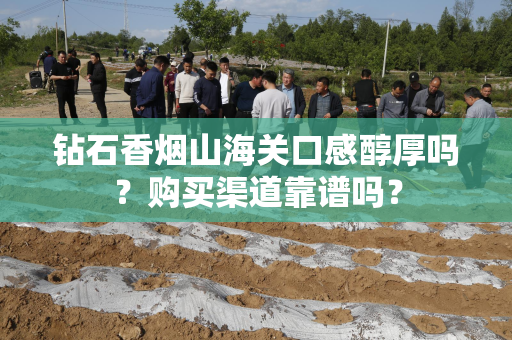 钻石香烟山海关口感醇厚吗？购买渠道靠谱吗？